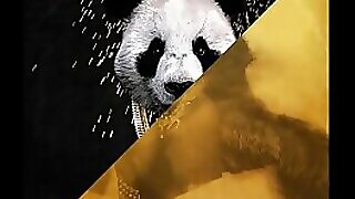 Desiigner vs. Rub-down Singe be expeditious for transmitted to picky cut - Panda Haze Flawed deliver up singular (JLENS Edit)